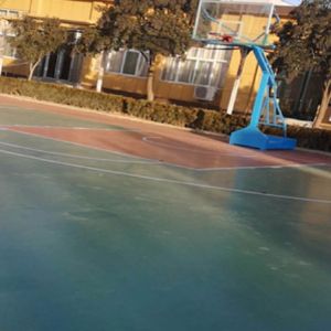 籃球場地案例