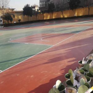 籃球場地案例