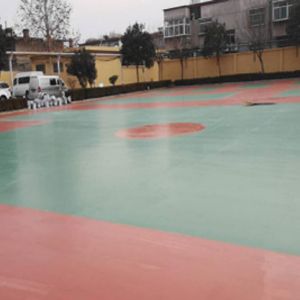 籃球場地案例